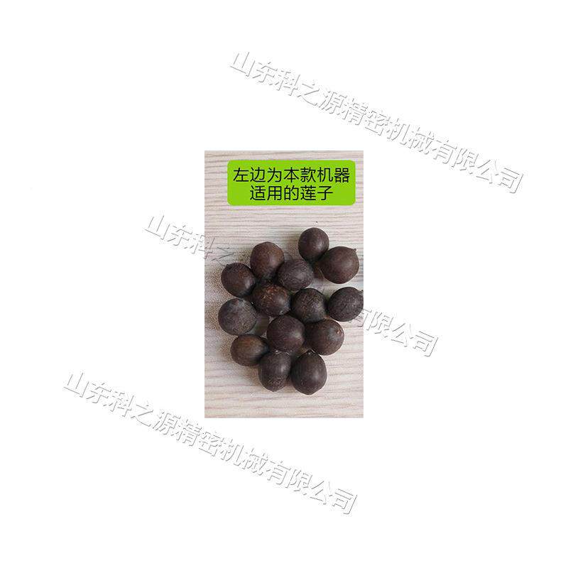 部件转使莲子甩出设备湘莲老莲蓬剥莲粒机电旋UOS仿手工动蓬脱粒