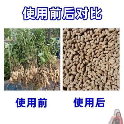 小型摘RDF花生干湿生两用花用花生脱果机脱粒机摘果机家打自动手