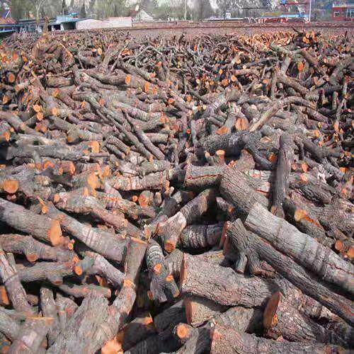 户MPT外炉露营原烧火用木硬木果木柴木头干柴火圆木燥耐烧壁炉柴