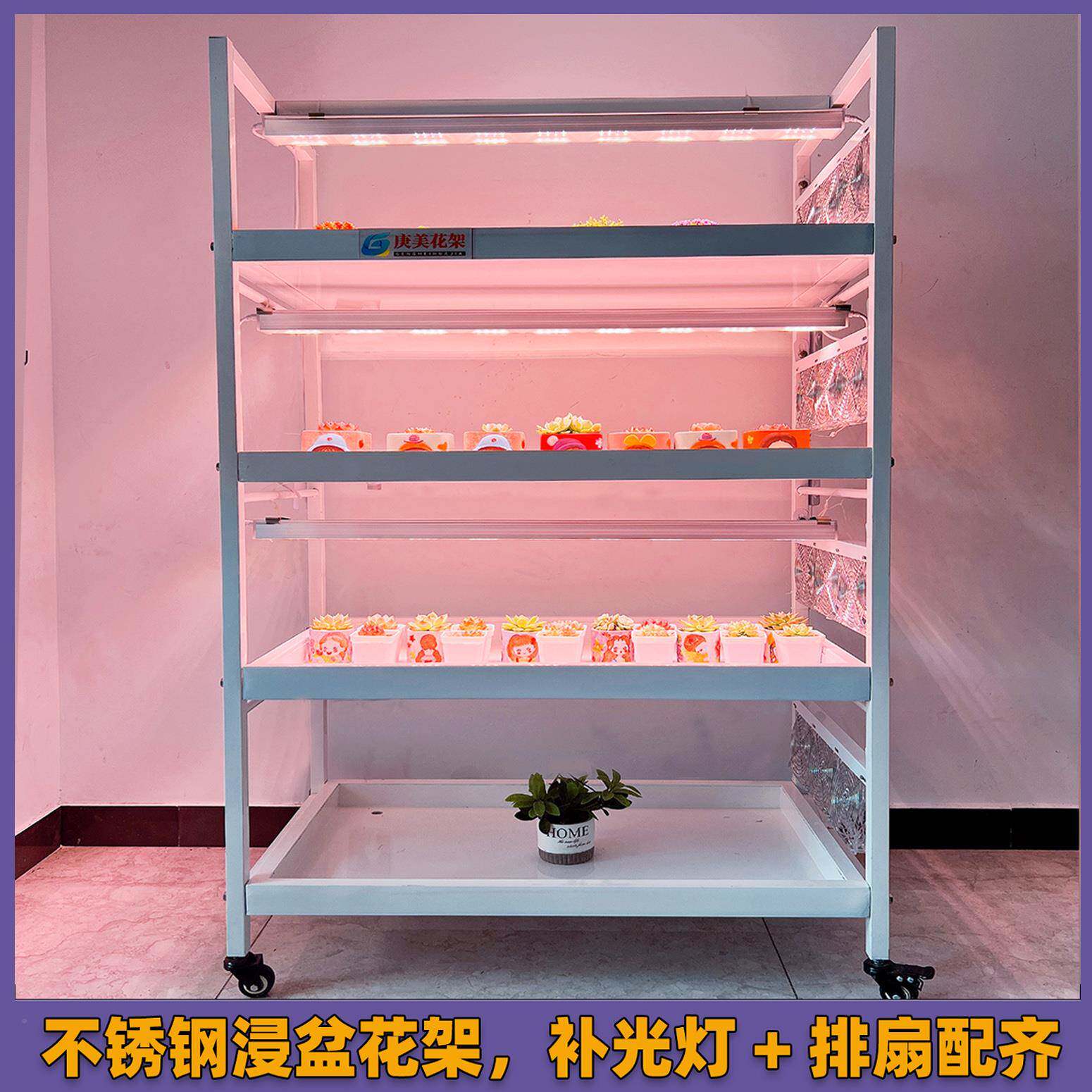 多肉玉植物浸不盆花架冰水槽盘接水盘室内阳台水培不锈钢白托多层