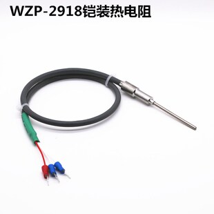 热电阻 TWBOAO 温度传感器 2918铠装 测温探头 台湾博奥WZP