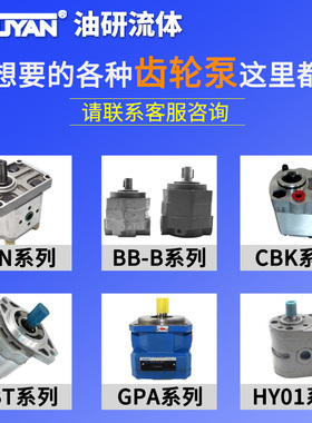 YB-D6.3 D4 D2.5叶片泵D10 D12 D16 20 D25 32 40YBD50 63 80 100