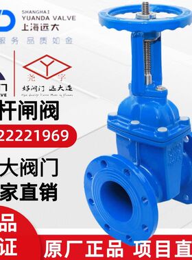 河北远大阀门尧字法兰软密封闸阀Z41X/45X球墨铸铁弹性座封明暗杆