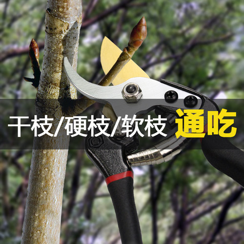 园艺剪刀果树修枝剪花剪园艺剪枝剪园林剪花专用剪修剪花卉剪子