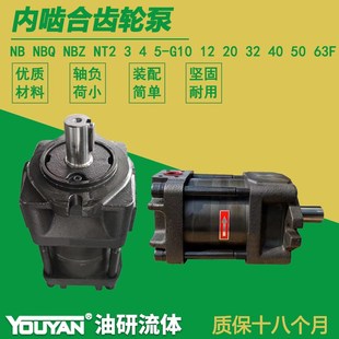 NB5内啮合NT3齿轮泵NB2 G16F20G25F32G40F50G63F80G100F125C140F
