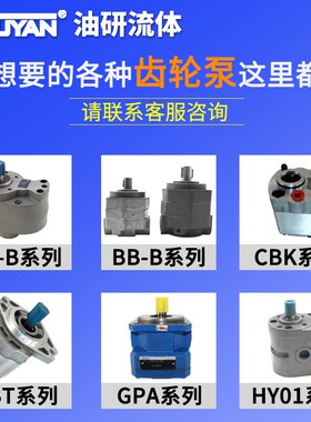 VHP高压HVPC变量VDV70叶片泵HVPVC-F20 F30 F40 F54 F86 VD2 VFE1