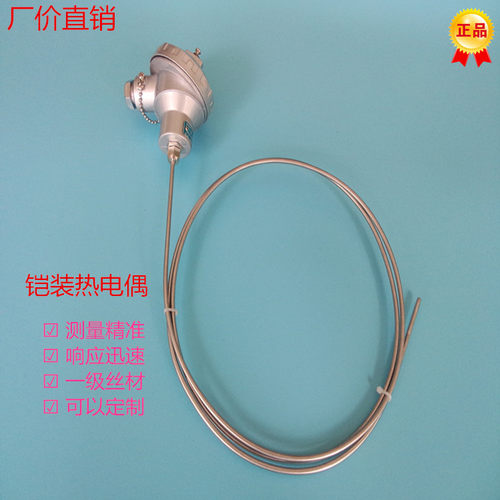 铠装热电阻 热电偶 PT100 WRNK-131 K型 温度传感器  电站热电阻