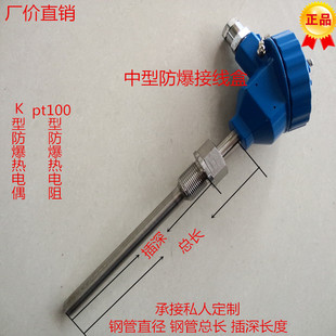 WRN240K型防爆热电偶WZPB 温度传感器 240Pt100防爆热电阻变送器式
