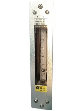 DK800-6F 面板式流量计 不带阀无阀门CEMS 烟气环保设备常州双环