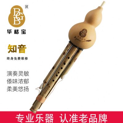 毕格宝葫芦丝知音系列C调降BGF小D调