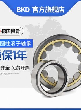 德国BKD进口轴承NU418/419/420/422/424/2204/2205/2206EM/C3