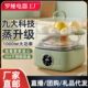 礼品罗娅煮蛋器电蒸锅家用三层大容量电蒸笼保温预约定时蒸锅