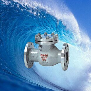 法兰止回阀逆止阀旋启式铸钢止回阀H44H-16C DN40 50 65 100 200
