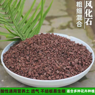 天然风化土风化石颗粒土铺面金弹子专用土盆景扦插酸性土红土沙土