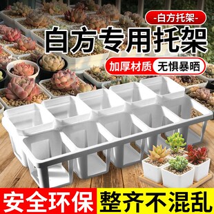 多肉花盆7cm方盆8孔托架白色小白方带托架多肉植物育苗盆塑料底托