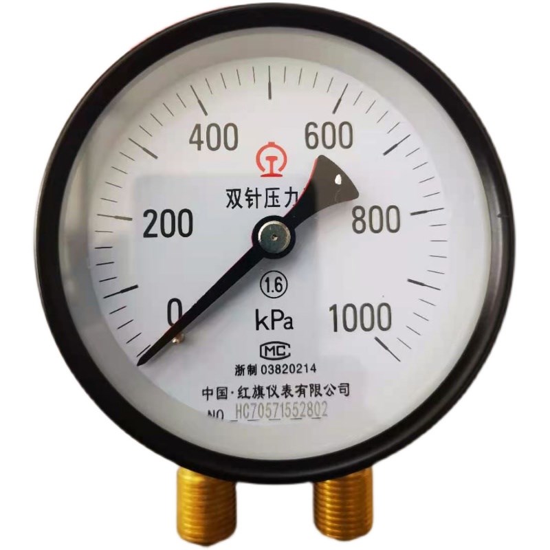 红旗仪表厂家直销YZS-102径向带边双针压力表船舶火车双管道压力