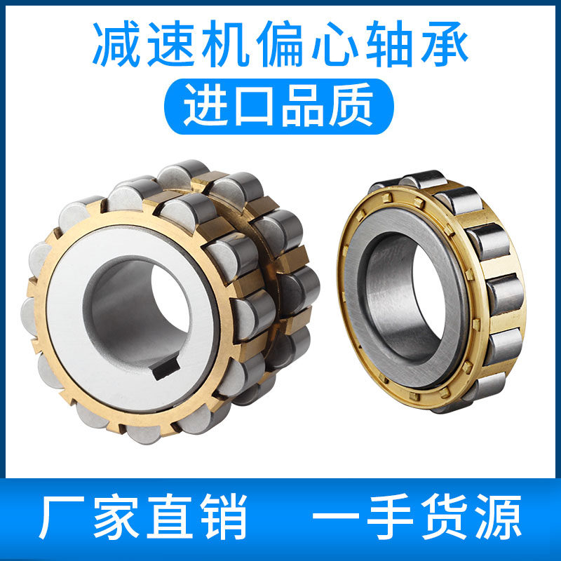 摆线针轮减速机偏心轴承RN309摇摆205 206 307 312 219整体双偏心
