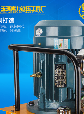 DB300-D2 3KW双回路油压机双向大功率液压电动泵 超高压脚踏泵