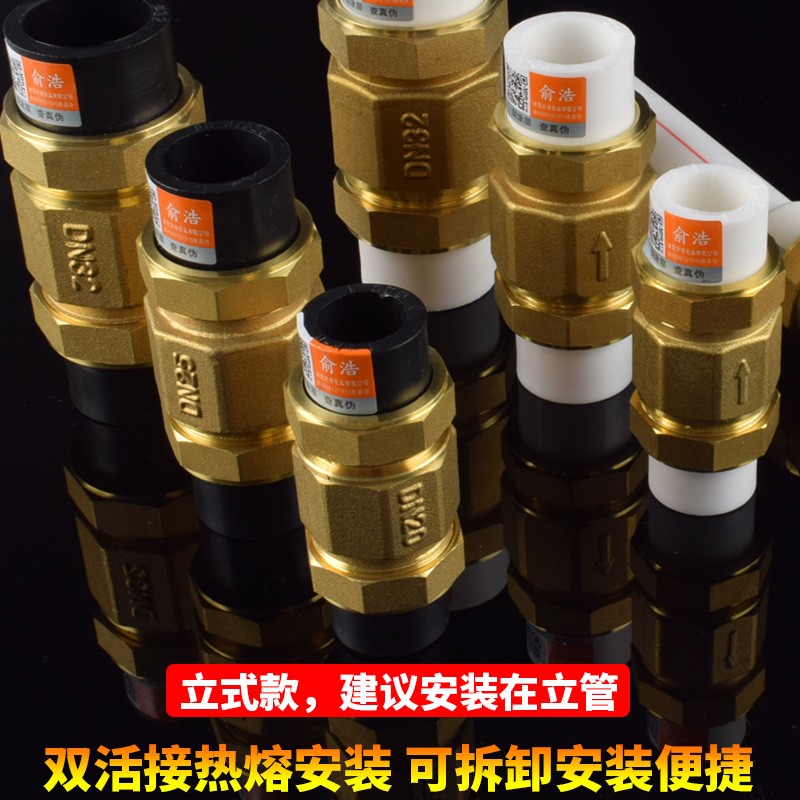 PPR水管止回阀PE双活接单向阀自来水管水表逆止阀铜卧式立式4分20