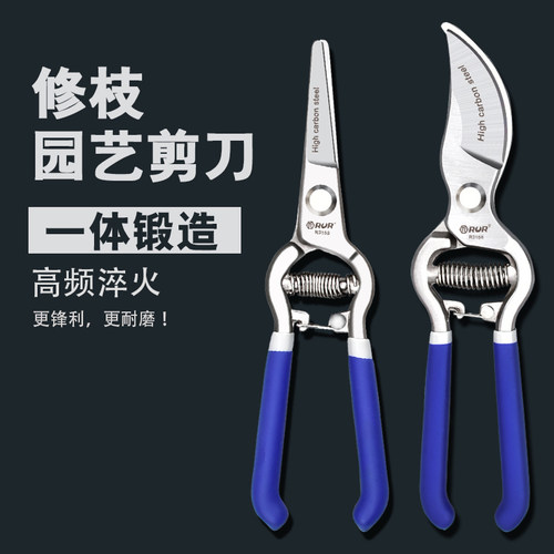 剪枝果树修枝剪刀园艺园林修花枝剪家用强力剪子神器花剪剪枝剪刀
