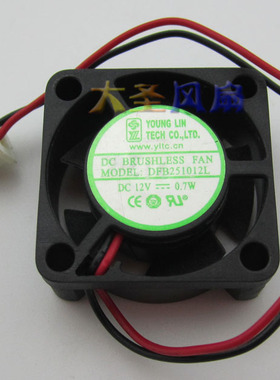 YOUNG LIN DFB251012L DC12V 0.7W 2.5CM 2510 双滚珠风扇