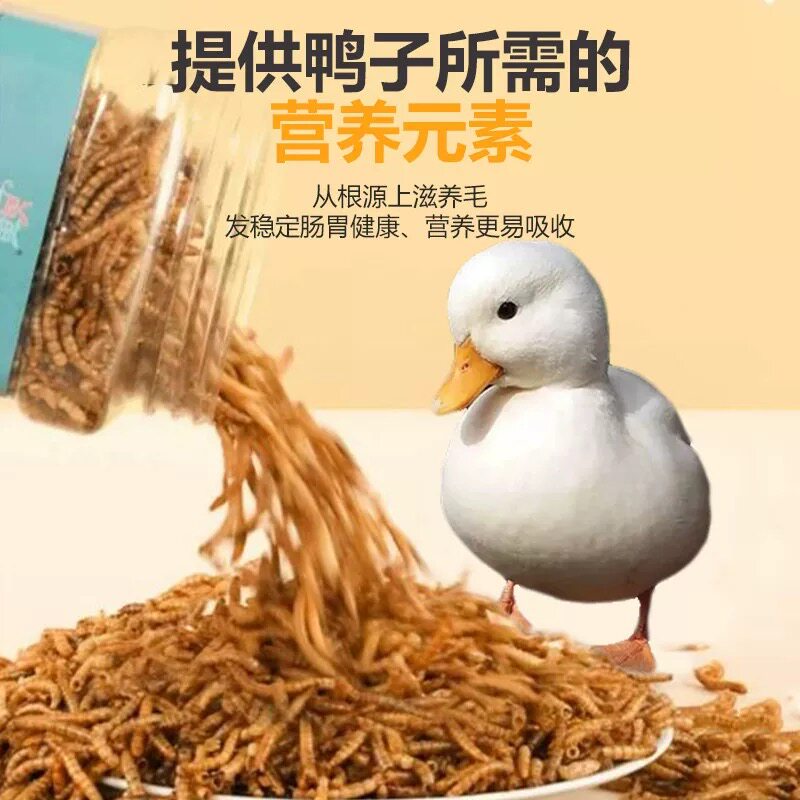 宠物柯尔鸭营养零食面包虫鱼虾干