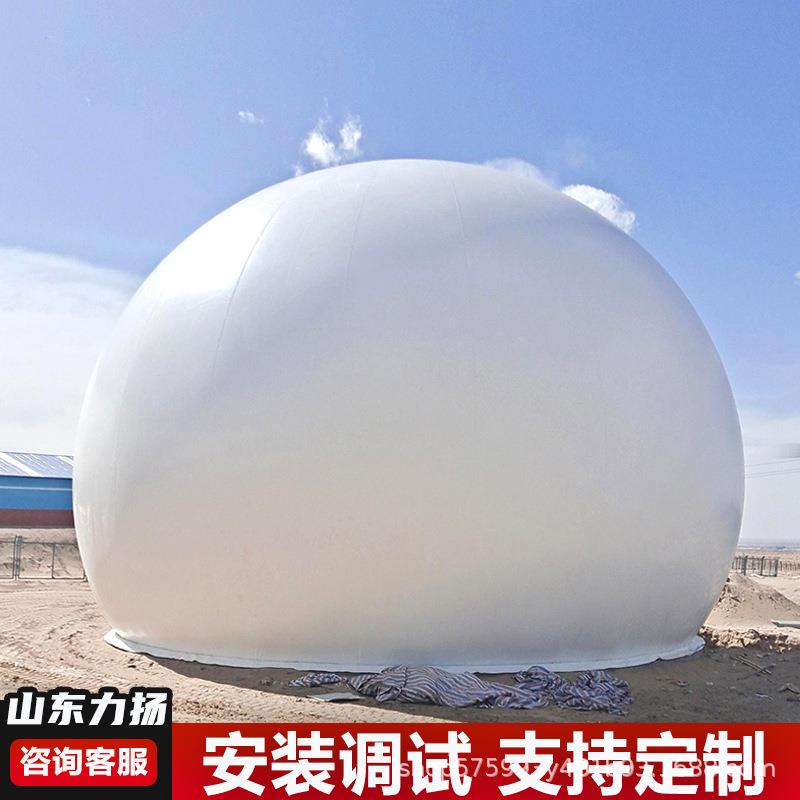 独立式沼气双膜气柜脱硫罐养殖场造纸厂污水处理厂双膜储气柜
