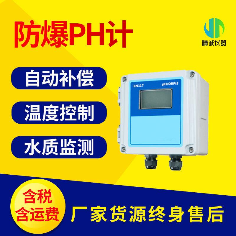 防爆在线PH计便携在线水质废水处理PH浓度检测防爆PH计
