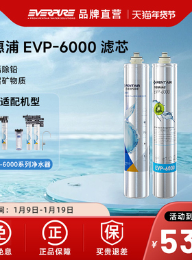【品牌直营】爱惠浦净水器滤EVP-6000/EVP-6000Plus滤芯官方正品