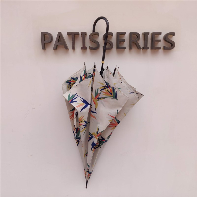 量少捡漏出日订单油画树叶晴雨大伞面长柄直骨伞半V自动弯钩手柄