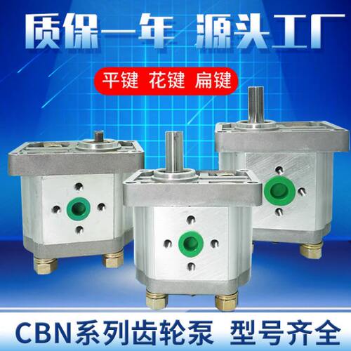 CBN系列齿轮油泵 CBT/CBN-F304/F306/F310/F312/ 法兰式齿轮泵