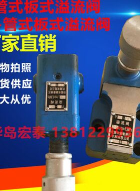 Y-10 Y-25 Y-63 Y-100 Y-160 Y1-10 Y1-25B Y-160B管式板式溢流阀