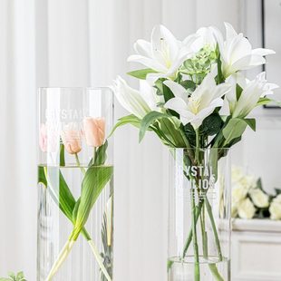 雪柳龙柳马醉木花瓶摆件客厅插花特大号玻璃透明富贵竹百合高级感