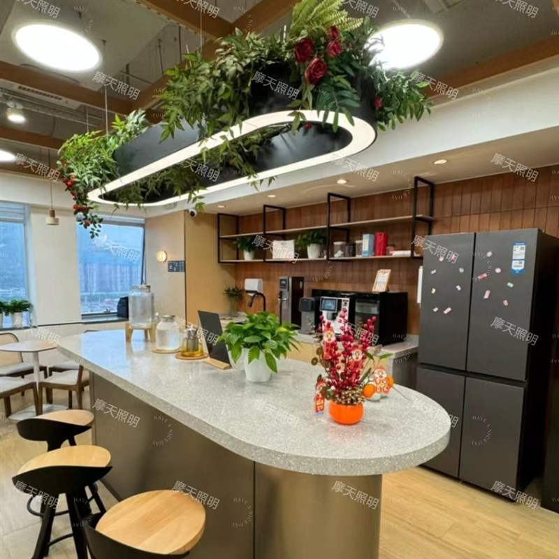 大型灯具椭圆形植物吊灯吧台餐厅D样板间办公室装饰环形植物灯