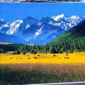 挂毯 200 饰壁挂挂布新疆饭店壁饰挂毯150 新疆挂毯 装