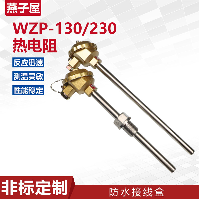 WZP13c0/WZP-230 PT100铠装热电阻WZP231铂热电阻热电偶温度传感