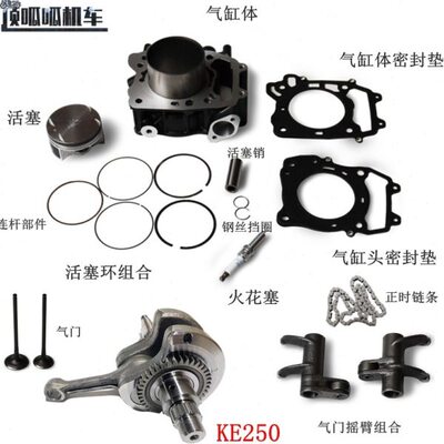 无极KE250缸体活塞套缸隆鑫LX250GS-3火花塞气门250RR发动机件