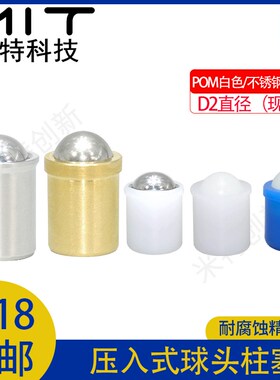 PFSSN/PFPPN球头柱塞树脂螺柱不锈钢压入式固定位玻珠BSZP/BSJT