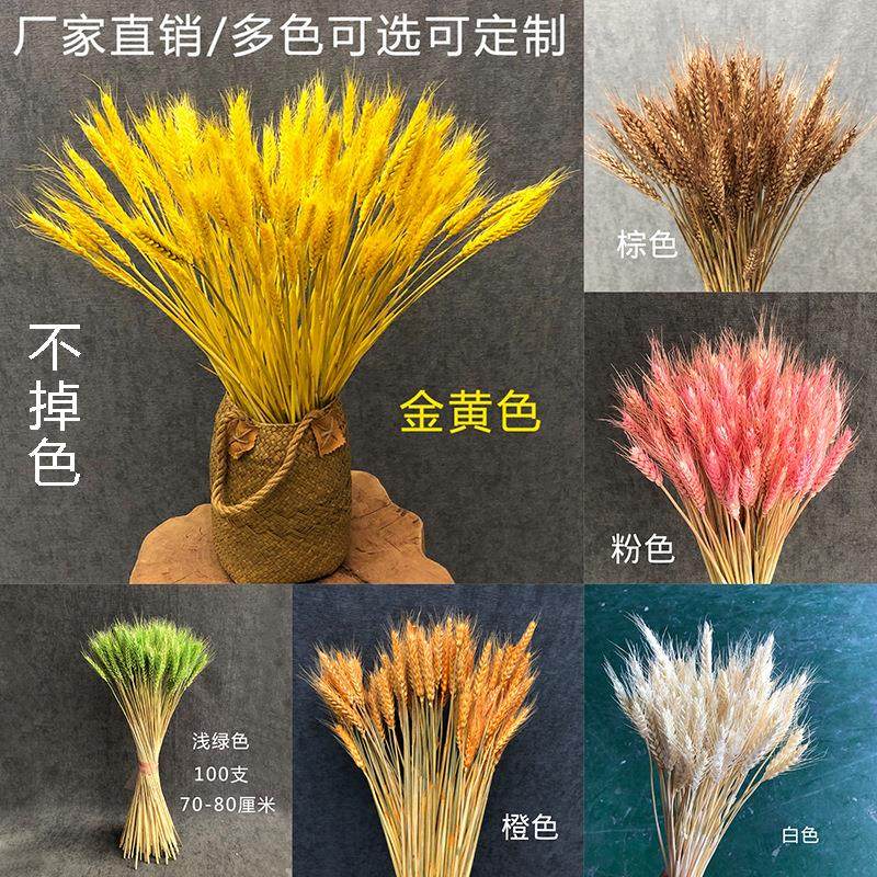 大麦干花花艺金黄色麦穗婚礼婚庆商场开业diy场地布置永生花,家居饰品,餐桌花艺,淘宝优惠券,粉丝福利购,淘宝优惠卷