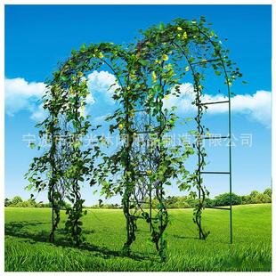 园艺拱形花架支架爬藤架 婚庆气球门拱门花园阳台花卉葡萄爬藤架