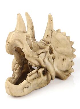 树脂骷髅头三角龙模型办公室摆件恐龙头骨模型学生科普动物骨架