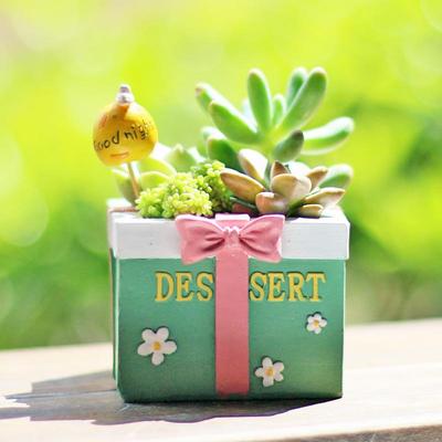 南院传芳 卡通个性迷你办公室桌面植物盆栽摆件 树脂多肉小花盆