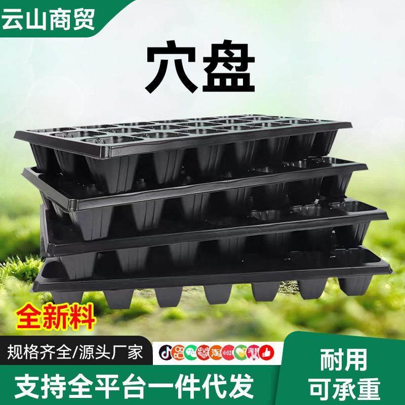 育苗盘平盘塑料育苗盒无孔林木加厚透明简易育苗穴盘