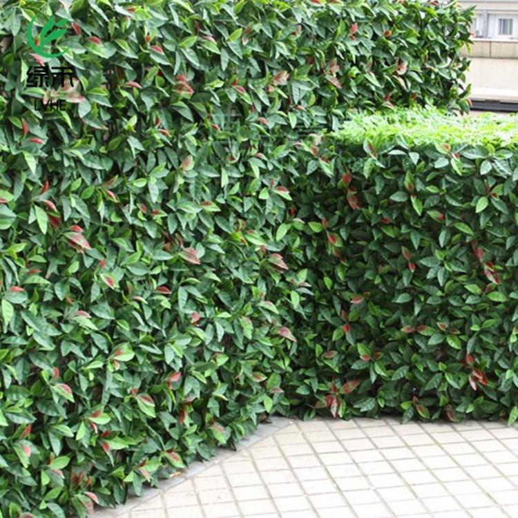植物墙仿真草坪加密草坪 人造绿植墙 塑料假草坪背景壁挂装饰