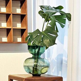 龟背竹专用花瓶葫芦型玻璃透明水养客厅插花摆件大肚绿植水培器皿
