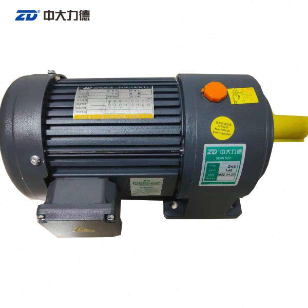 ZD750-S/ZH:3/1:40 750W卧式中大立德齿轮减速三相异步电动机