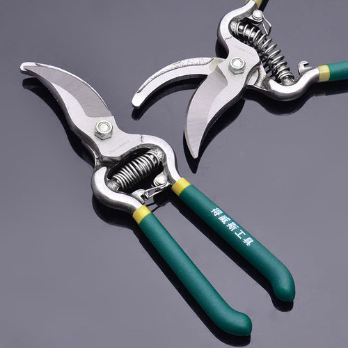 得威斯 园林绿化工具花剪树枝果树粗枝剪剪子果梨修枝剪园艺剪刀