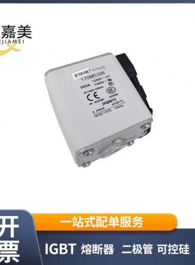 170M5248 170M5388 170M5398低压快速熔断器 电子元器件 库存充足