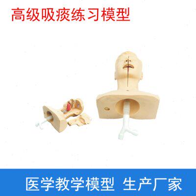 高级吸痰练习模型吸痰训练模型模拟吸痰训练模型吸痰插管训练模型