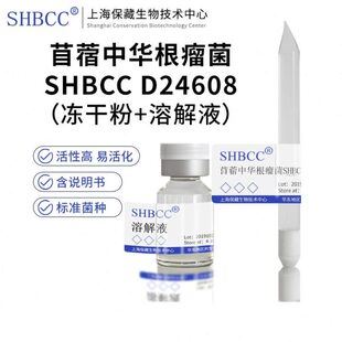 苜蓿中华根瘤菌SHBCC D24608非模式生物YMA培养基28-30℃培养活化